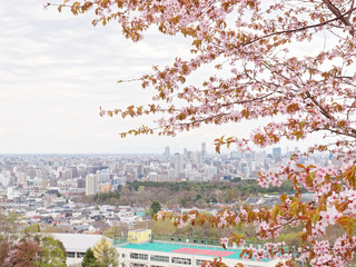 Obraz premium 新井山から望む札幌市街