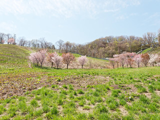 荒井山