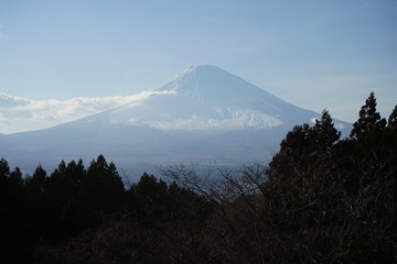 Fototapeta premium 富士山 日本 山 