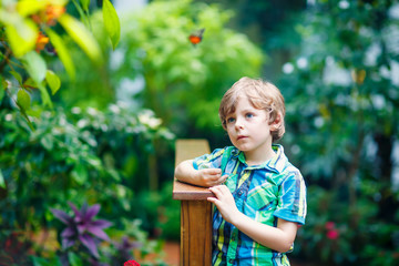 Little blond preschool kid boy discovering flowers and butterflies at botanic garden