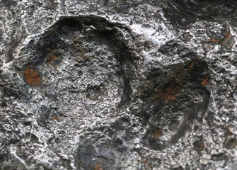 metal meteorite texture © jonnysek