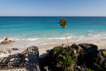 Fototapeta na wymiar Coastal landscape with palm trees on the beaches of the Caribbean Sea in Tulum, Mexico