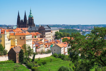 Blick auf den Veitsdom in Prag