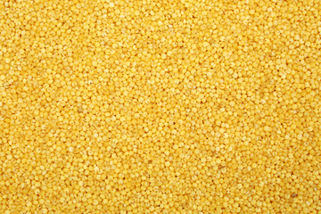 Millet yellow background