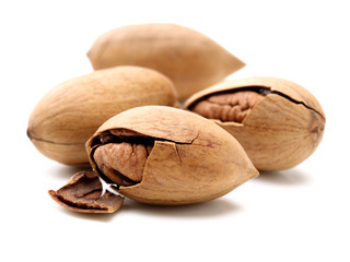 Pecan nuts on white background
