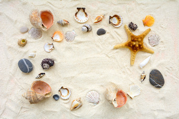 Seashells on sand. Sea summer vacation background. Top vew. Copy space