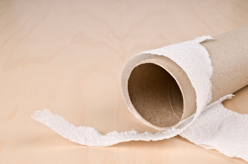 Empty roll of  toilet paper
