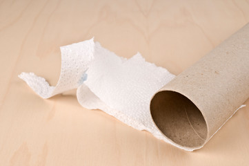 Empty roll of  toilet paper