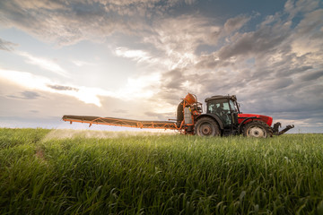 Obraz premium Tractor spraying pesticides at wheat field