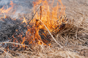 Dry grass burning in meadow at springtime. Fire and smoke destroy all wildlife (soft focus, blur from strong wildfire).
