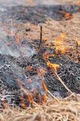 Fire in forest at springtime. Fire and smoke destroy all wildlife. Soft focus, blur from strong wildfire.