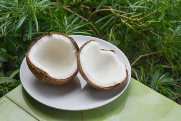 Opened coconut on plate with green background
