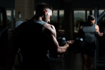 Muscular Man Exercising Biceps With Dumbbell