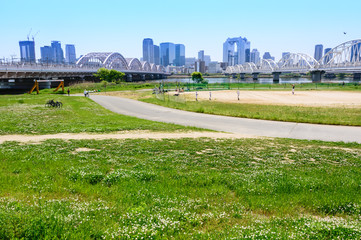 Fototapeta premium 大阪 春の淀川河川敷