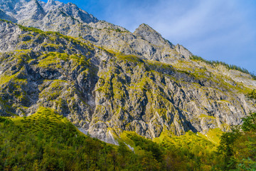 Obraz premium Alps mountains covered with forest, Koenigssee, Konigsee, Berchtesgaden National Park, Bavaria, Germany