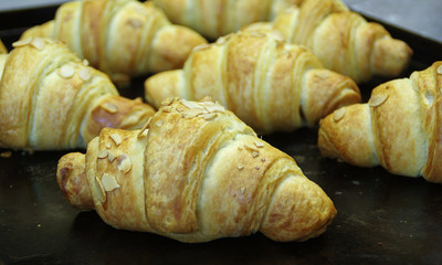 Fresh croissant