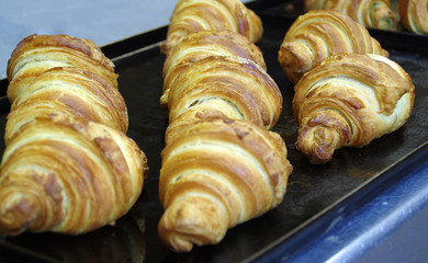 Fresh croissant
