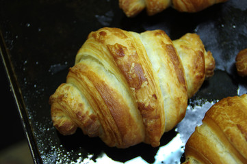 Fresh croissant
