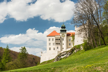 Fototapeta na wymiar Historic castle Pieskowa Skala in Ojcow Park near Krakow in Poland