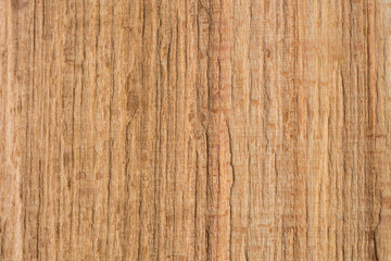 Naklejka premium Beech (Fagus sylvatica) wood texture. Interesting abstract background.