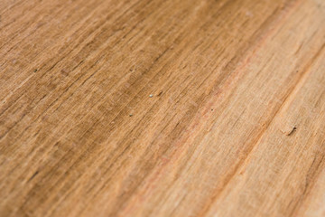 Obraz premium Beech (Fagus sylvatica) wood texture. Interesting abstract background.
