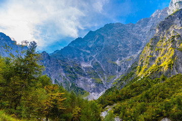 Alps mountains covered with forest, Koenigssee, Konigsee, Berchtesgaden National Park, Bavaria, Germany