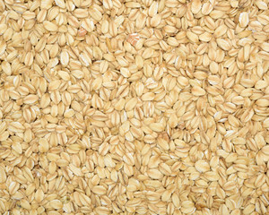 The texture of oatmeal.