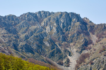 Alpine landscape in the spring