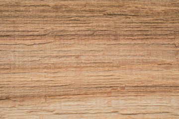 Beech (Fagus sylvatica) wood texture. Interesting abstract background.