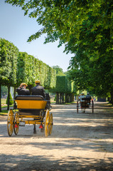 Competition of carriages