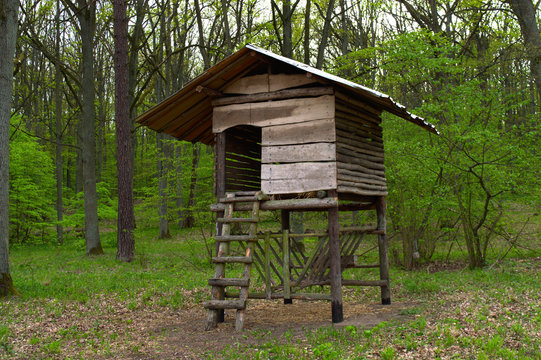 A large elevated wooden hunting blind with hay rack, Poznań, Poland
