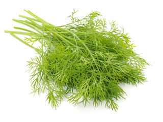 dill isolated on white background 