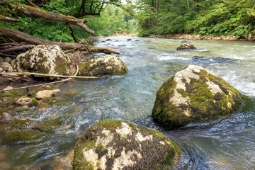 River mountain origin ecology clean water.