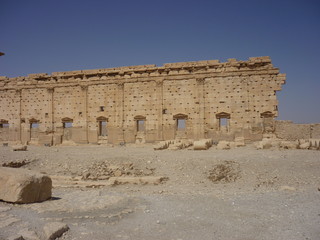 Fototapeta premium Palmyra