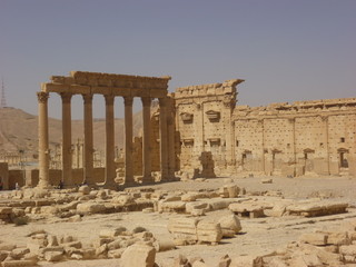 Obraz premium Palmyra