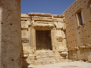 Palmyra