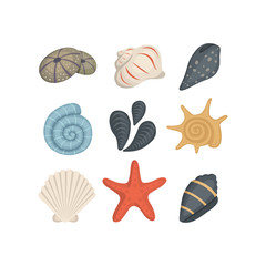 Sea shell vector icons in cartoon style. Set of clam mollusc. Ocean cockleshell.