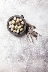 Easter holiday concept.Quail eggs in a plate on a gray background. Holiday decoration branches willow with pears.Copy space for Text.