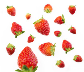 Shoot strawberries up close