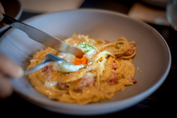 Spaghetti Carbonara with bacon, egg, cream sauce and parmesan cheese . Recommended Menu Traditional italian cuisine. Pasta alla carbonara