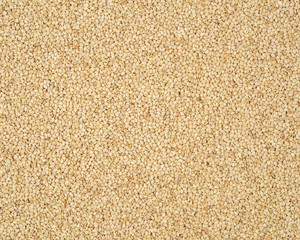 sesame seeds background 