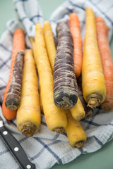Bunte Urkarotte und Möhren in Lila, Orange und Gelb auf Geschirrtuch mit Messer auf Pastell Mint Grün Hintergrund