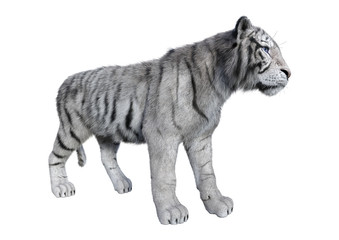 Fototapeta na wymiar 3D Rendering White Tiger on White