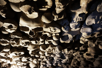 Human bones and skulls as pirate texture