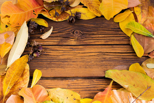 Frame yellow leaves on old wooden floors Autumn season banner background backdrop Decoration of dry leaves, yellow leaves Top view photos - images