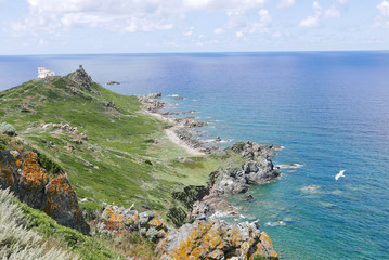 Corse
