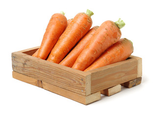 fresh carrot on white background 