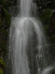 Fototapeta premium waterfall in forest