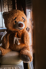 Sad teddy Bear misses its owner