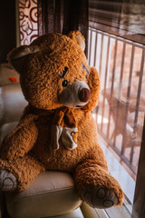 Sad teddy Bear misses its owner